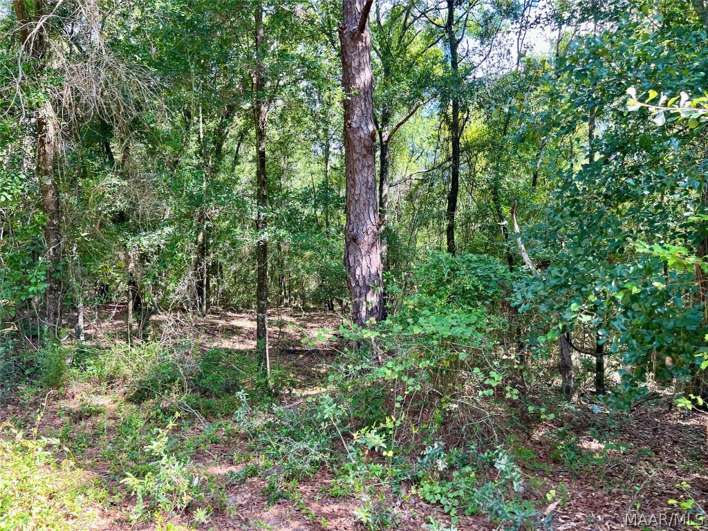 10907 County Road 41 .