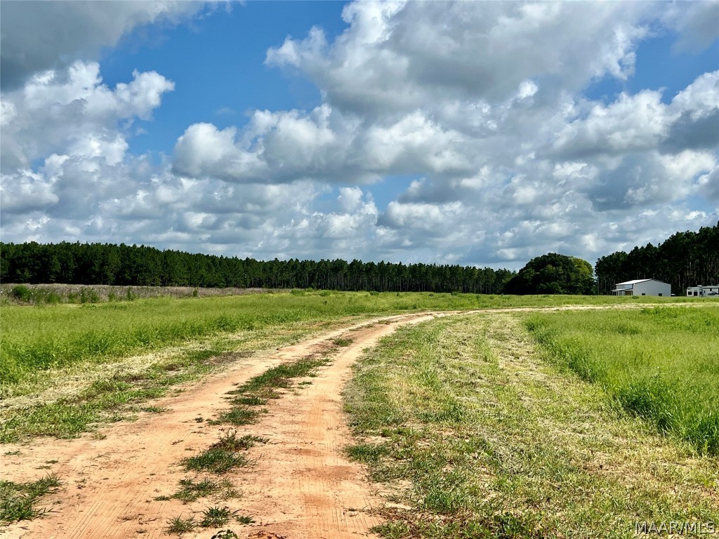 10907 County Road 41 .