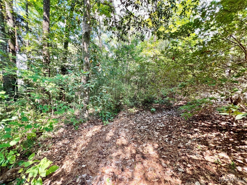 702 W Hemlock Avenue
