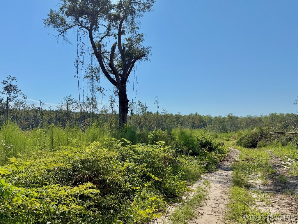 130+/- Tindil Creek Road