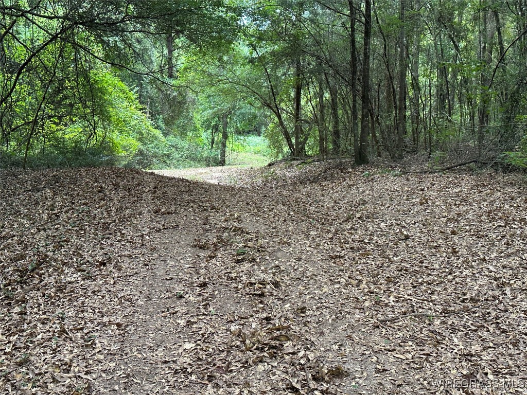 40 Acres County Road 471 .
