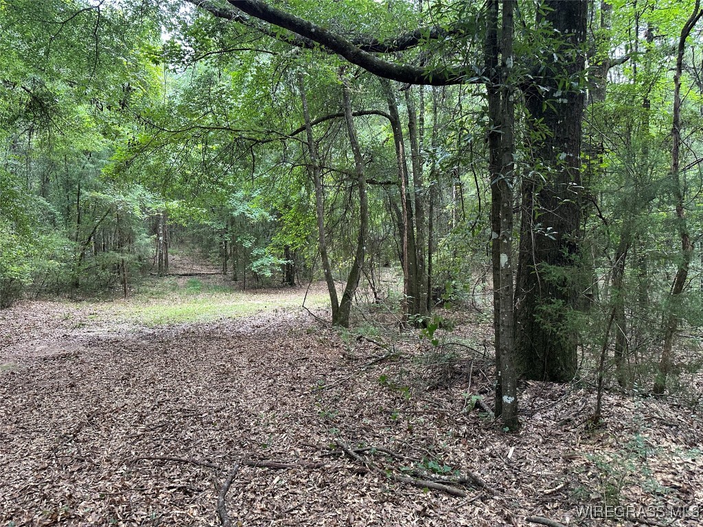 40 Acres County Road 471 .