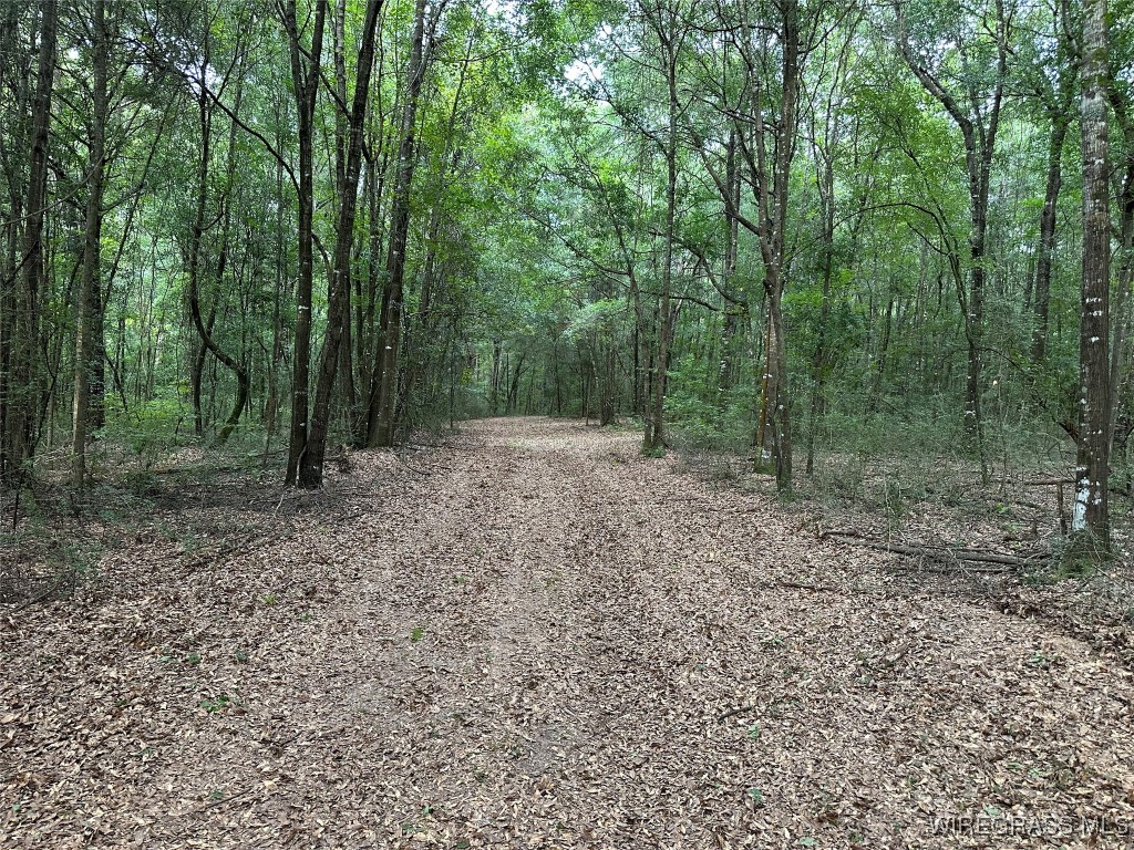 40 Acres County Road 471 .