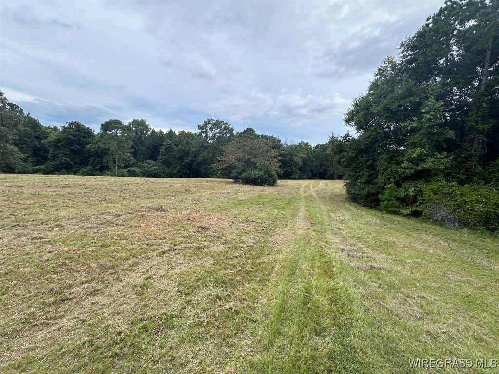 40 Acres County Road 471 .
