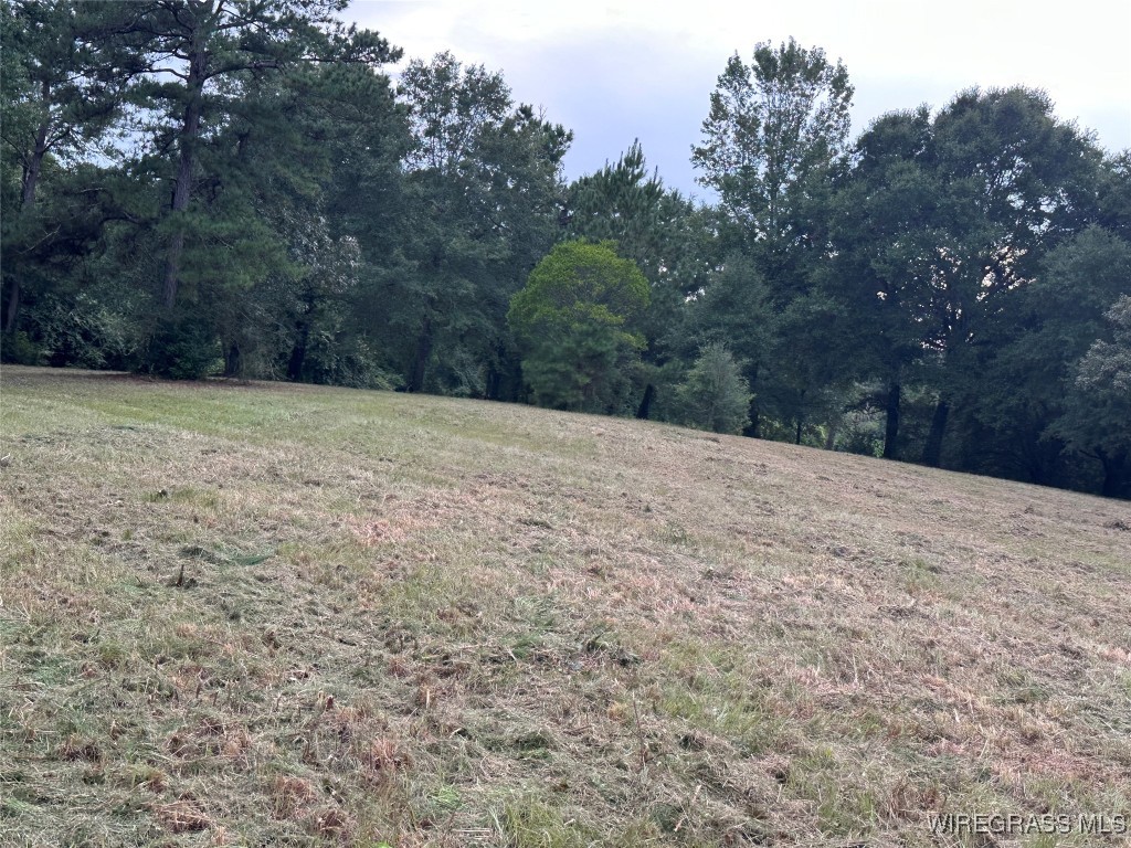 40 Acres County Road 471 .