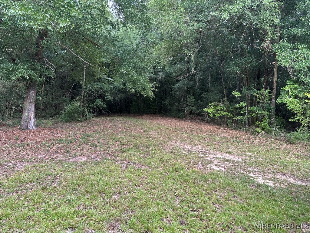 40 Acres County Road 471 .
