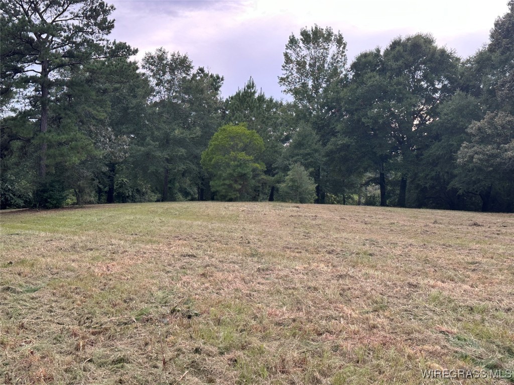 40 Acres County Road 471 .