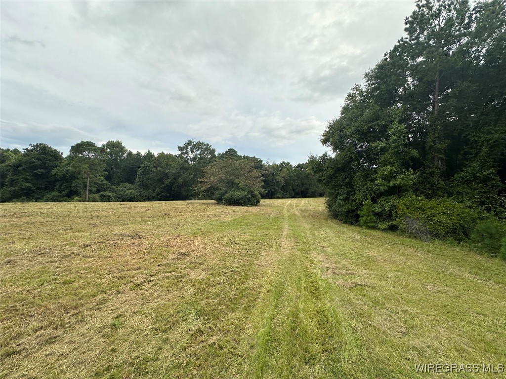 40 Acres County Road 471 .
