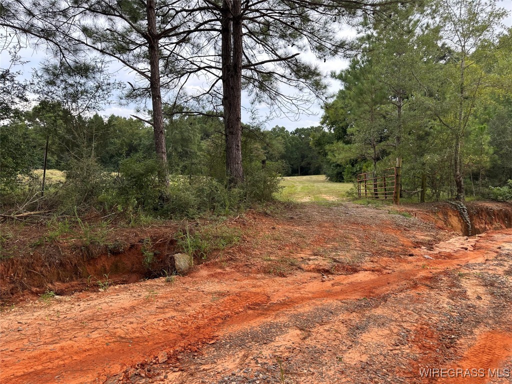 40 Acres County Road 471 .