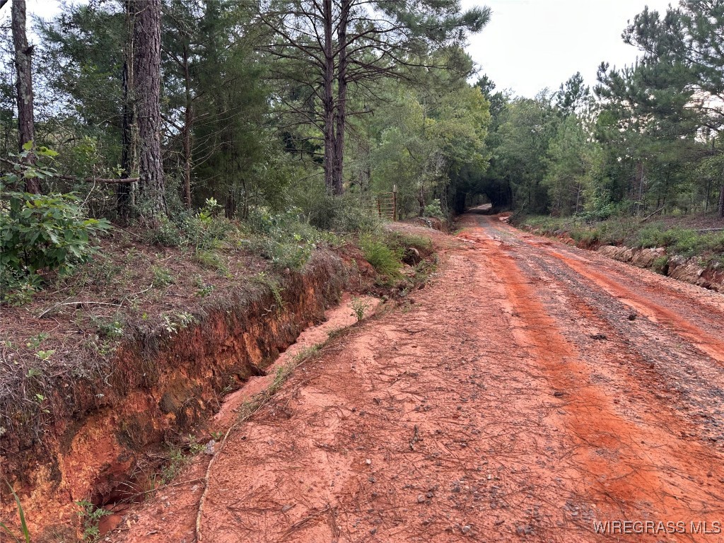 40 Acres County Road 471 .