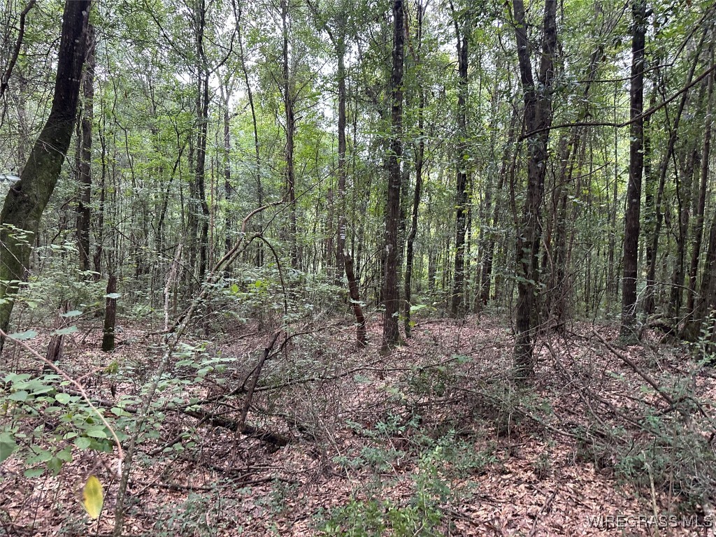 40 Acres County Road 471 .