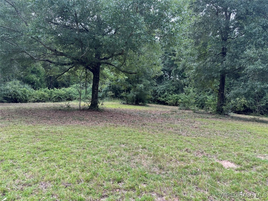 40 Acres County Road 471 .