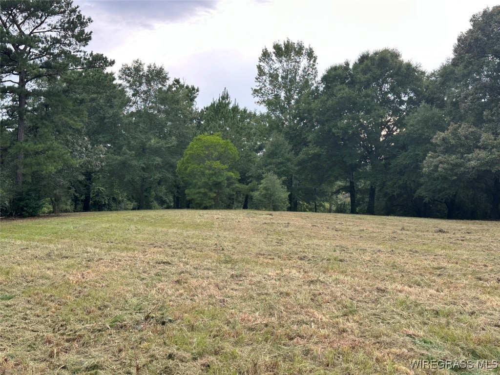 40 Acres County Road 471 .
