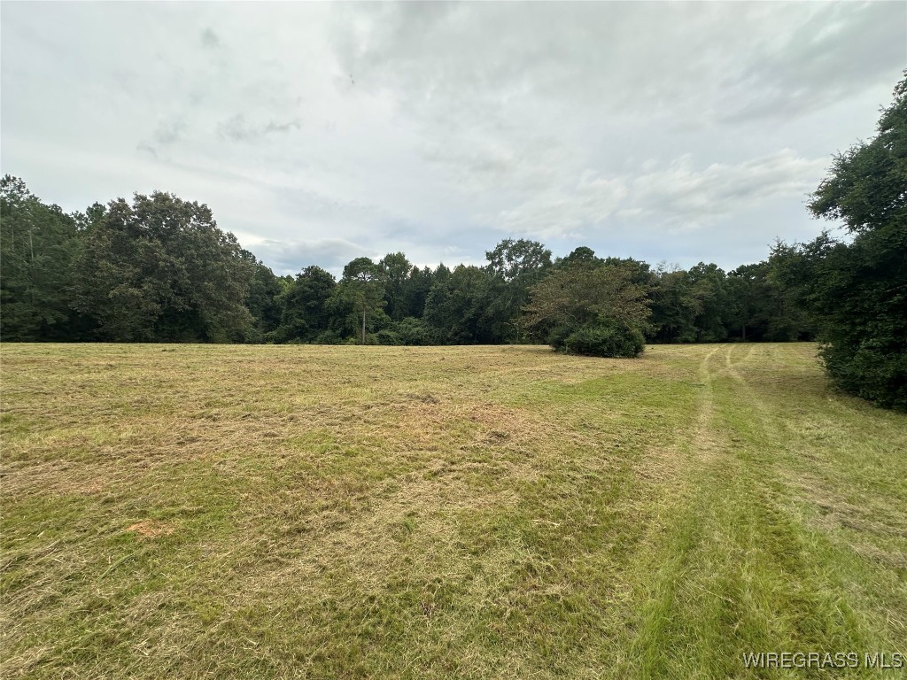 40 Acres County Road 471 .