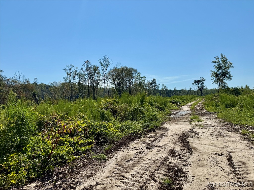 65+/- Tindil Creek .