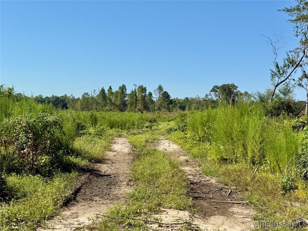 65+/- Tindil Creek .