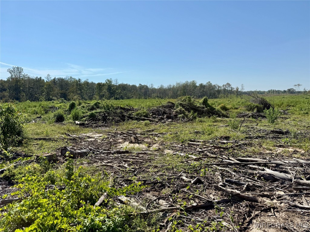 65+/- Tindil Creek .