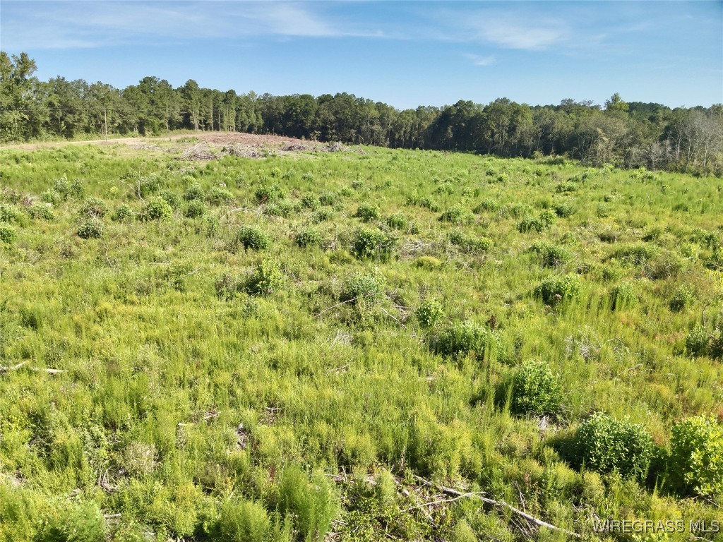 65+/- Tindil Creek .