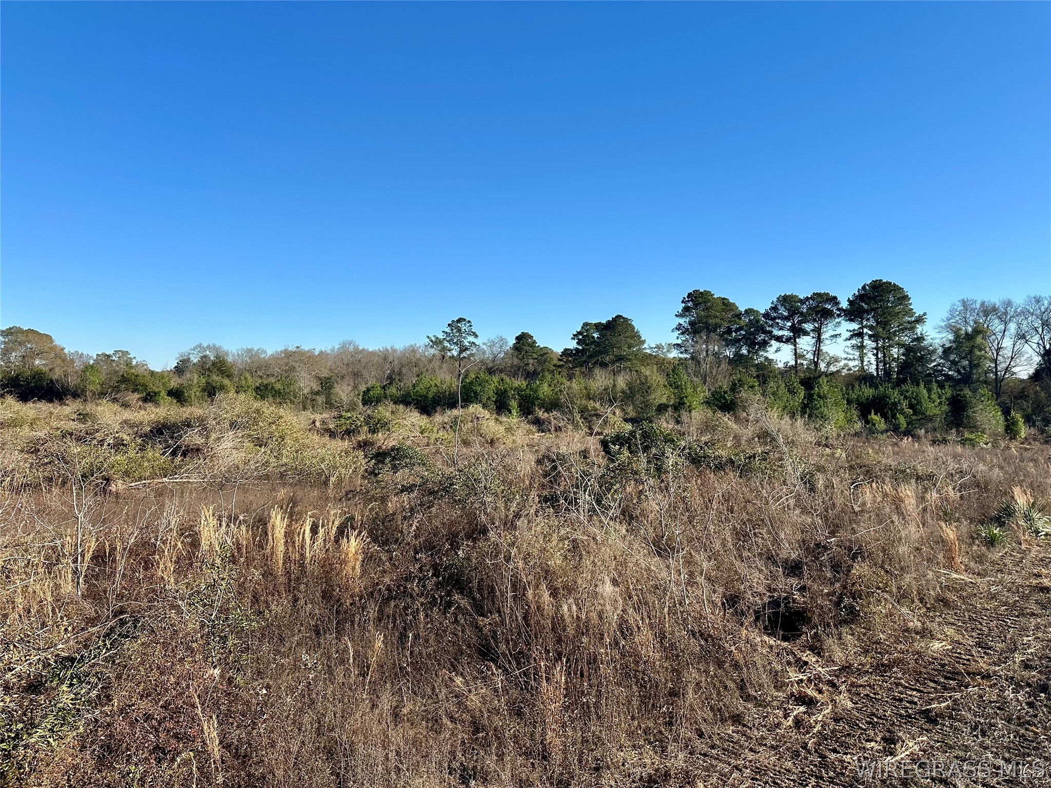 21.5 acres Windmill Road