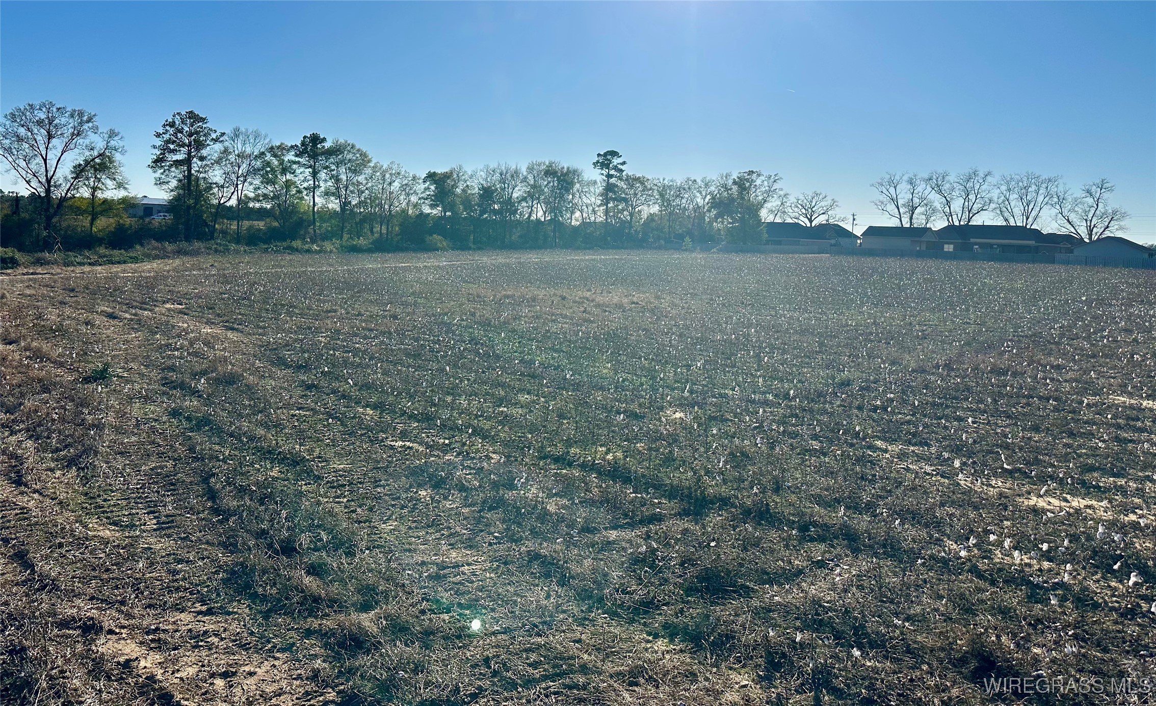 21.5 acres Windmill Road