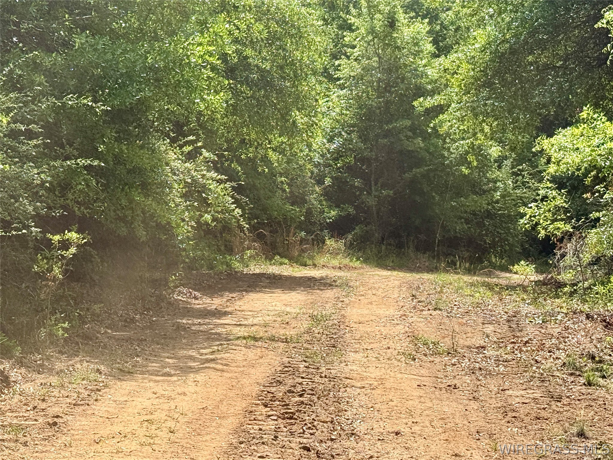105 Acres County Road 16 .