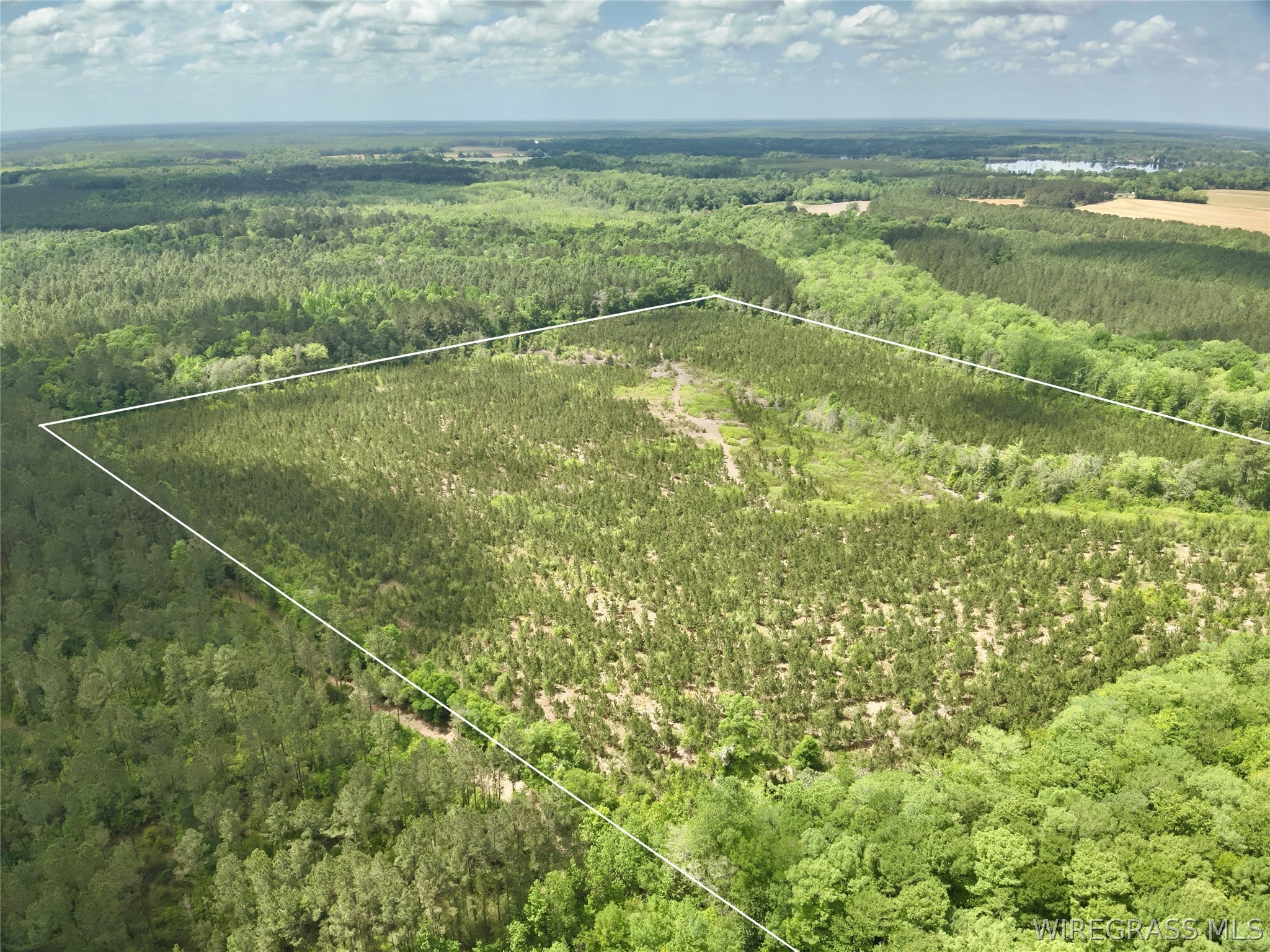 105 Acres County Road 16 .