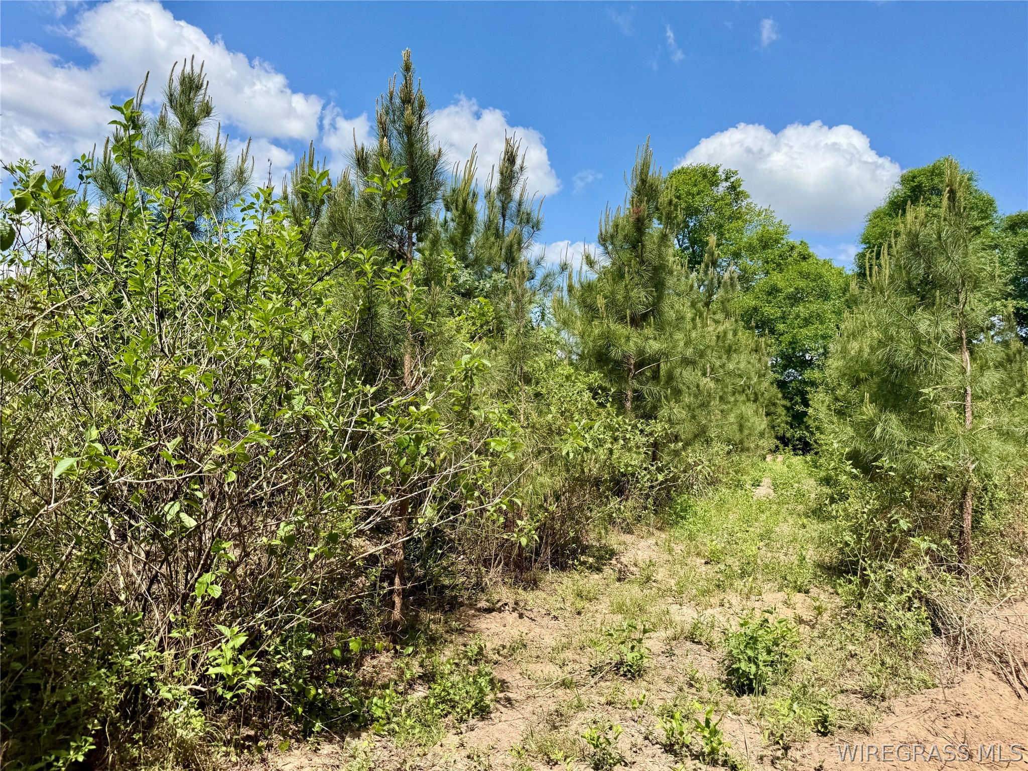 105 Acres County Road 16 .