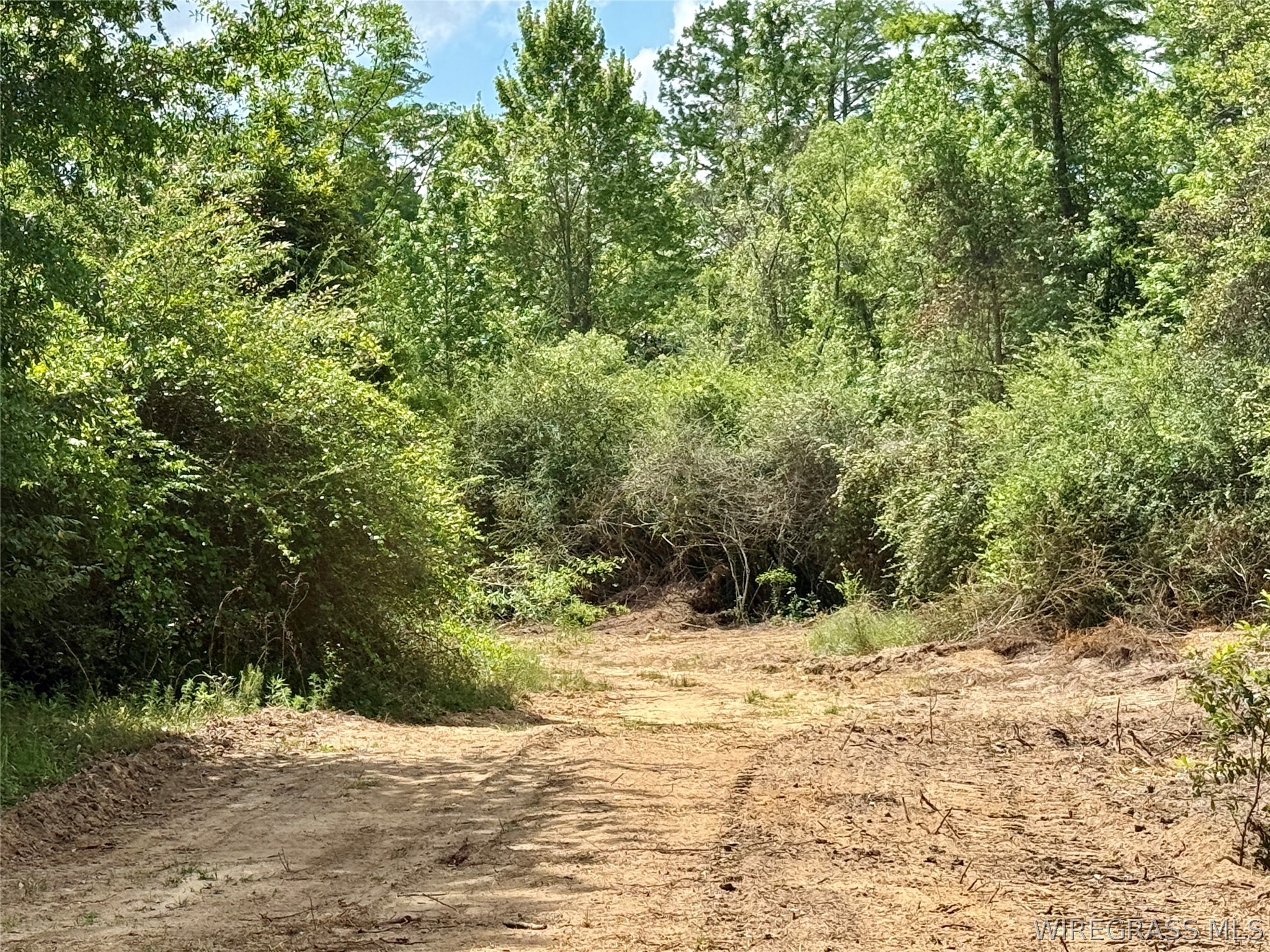 105 Acres County Road 16 .