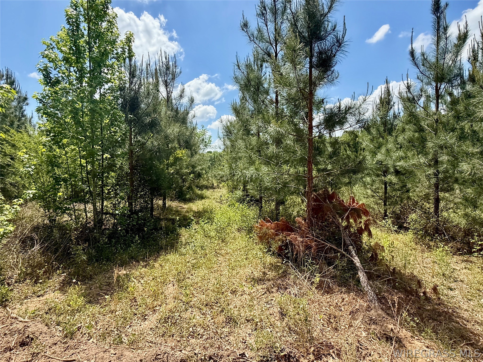 105 Acres County Road 16 .