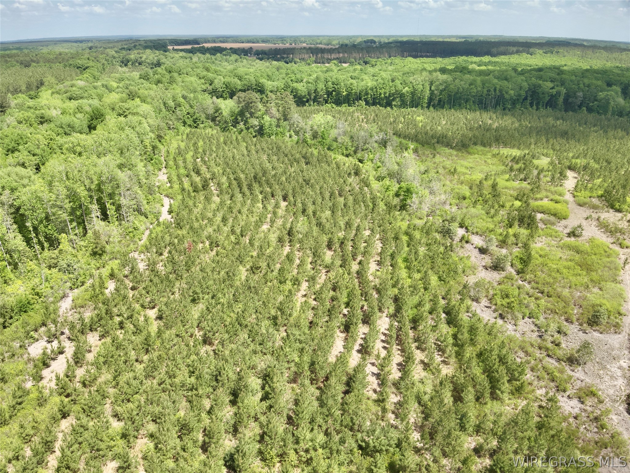 105 Acres County Road 16 .