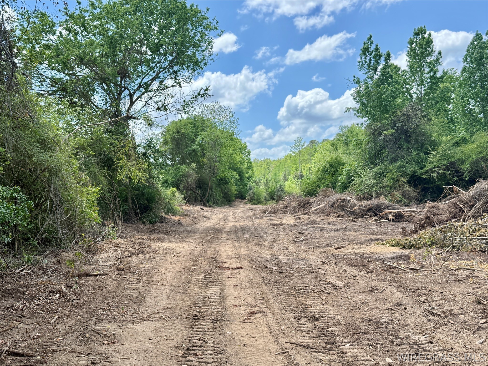 105 Acres County Road 16 .