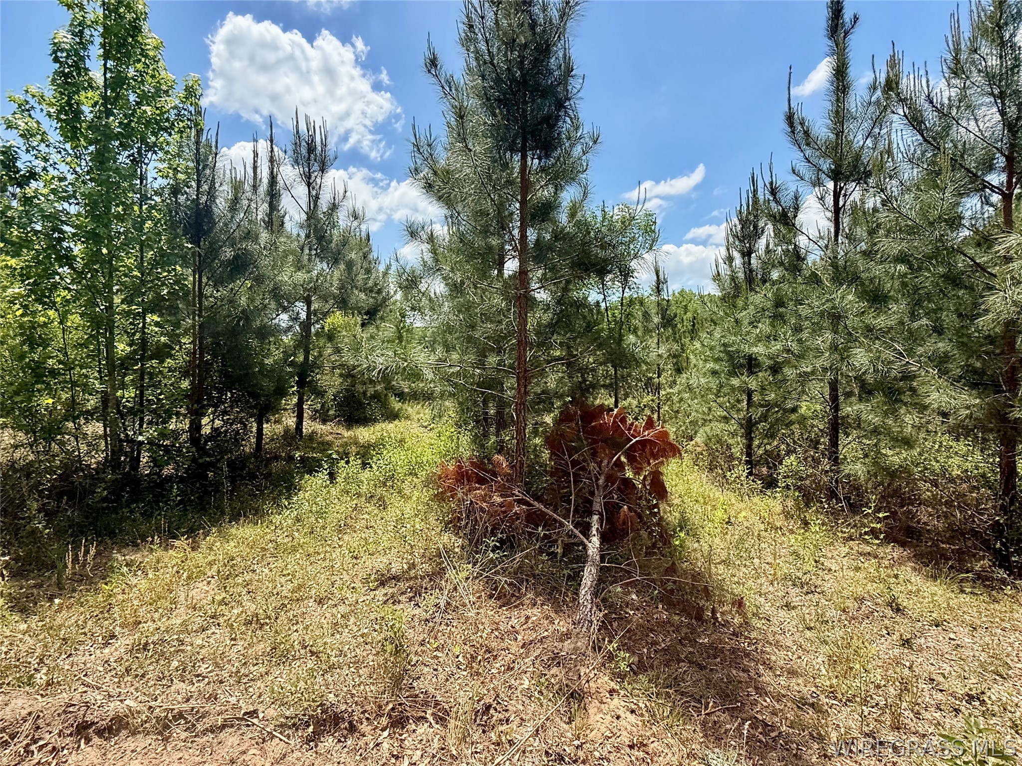 105 Acres County Road 16 .