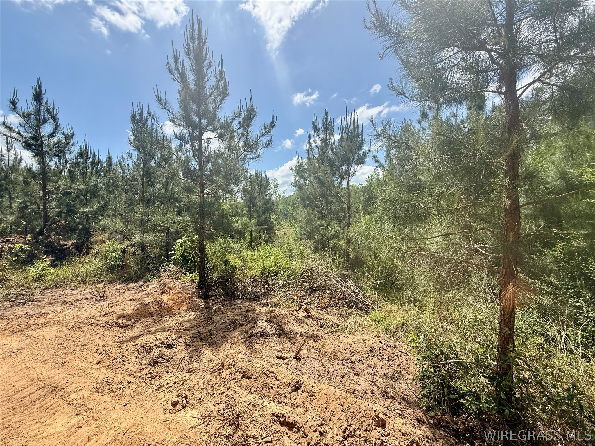 105 Acres County Road 16 .