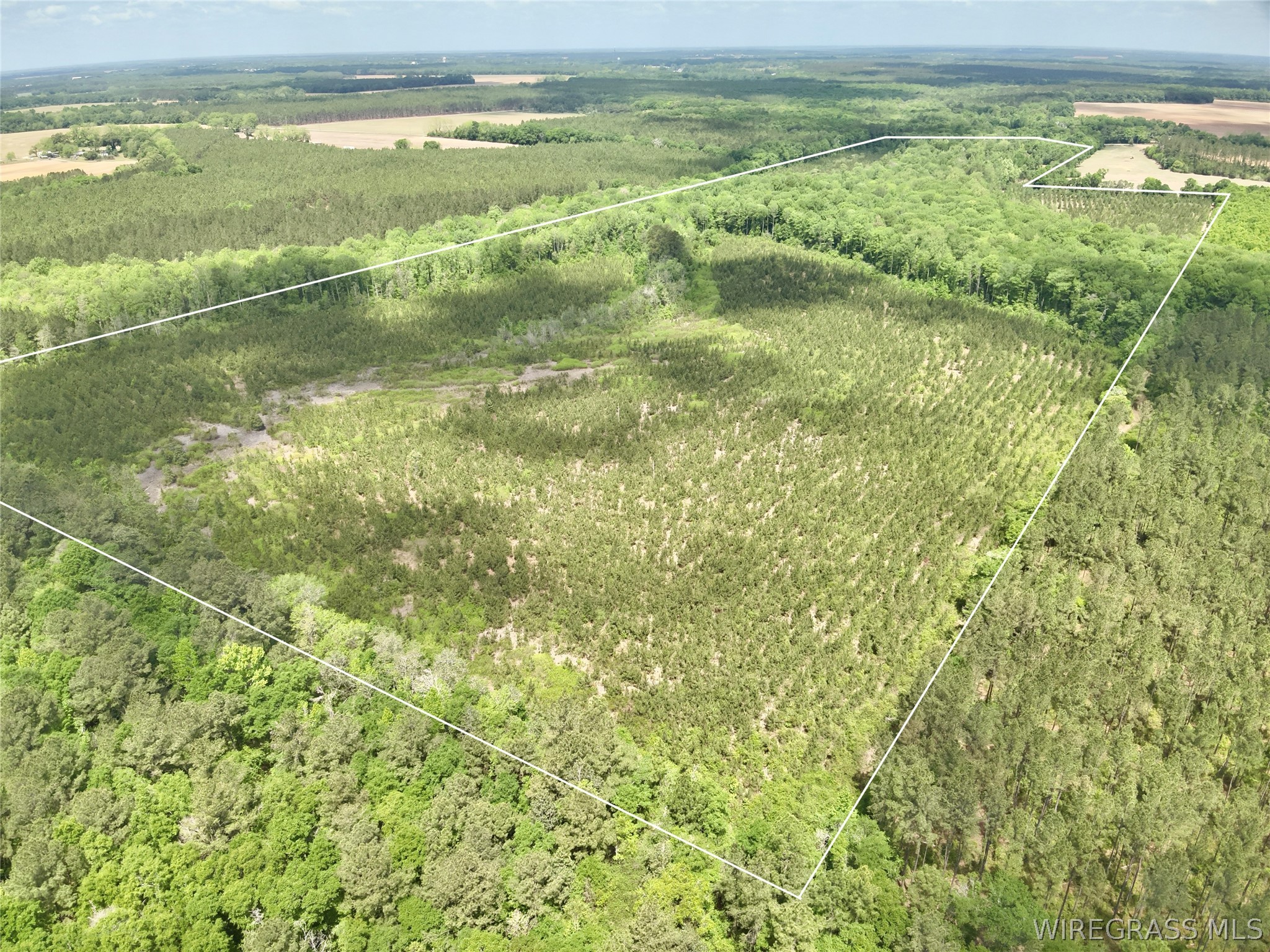 105 Acres County Road 16 .