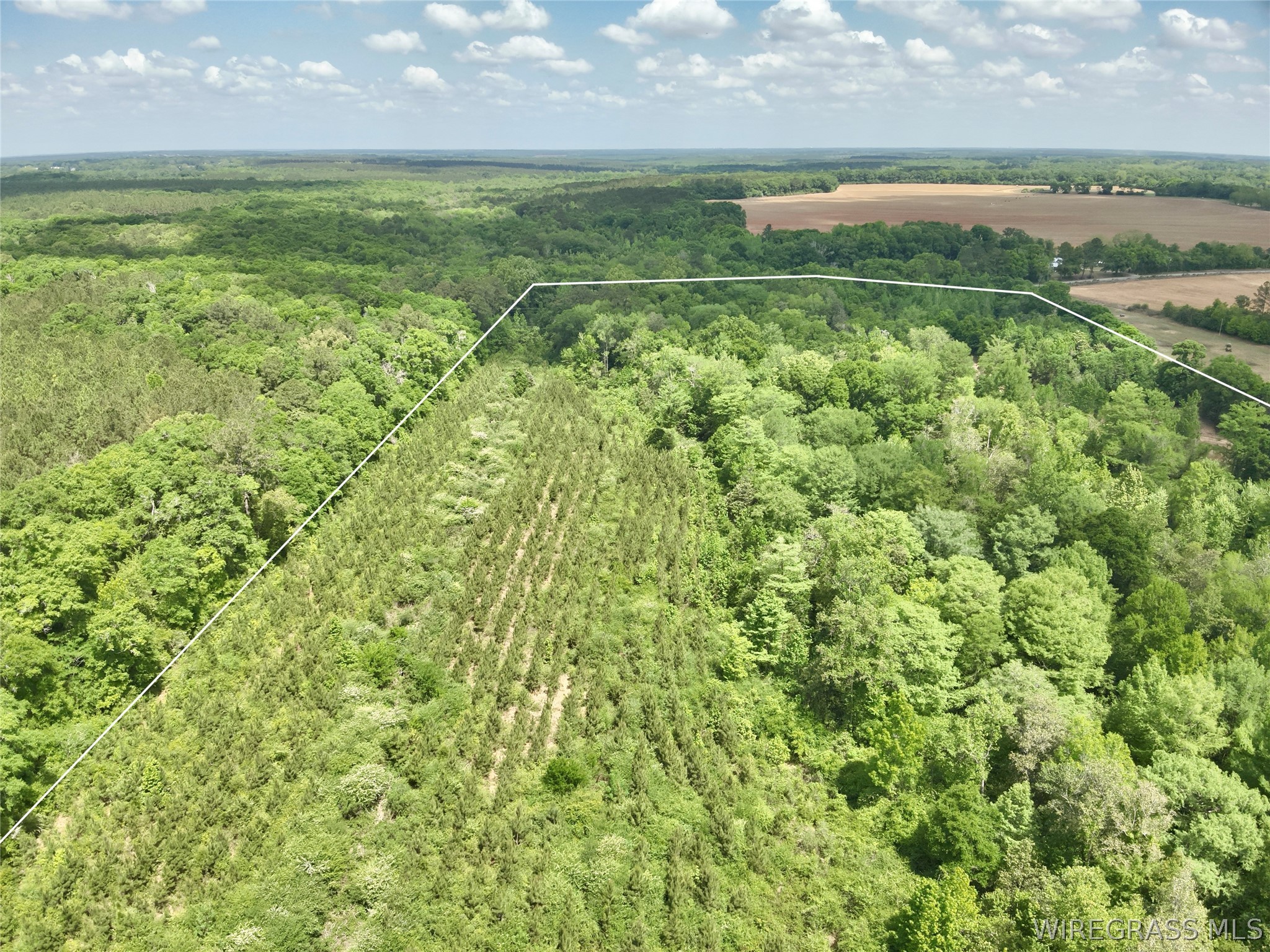 105 Acres County Road 16 .