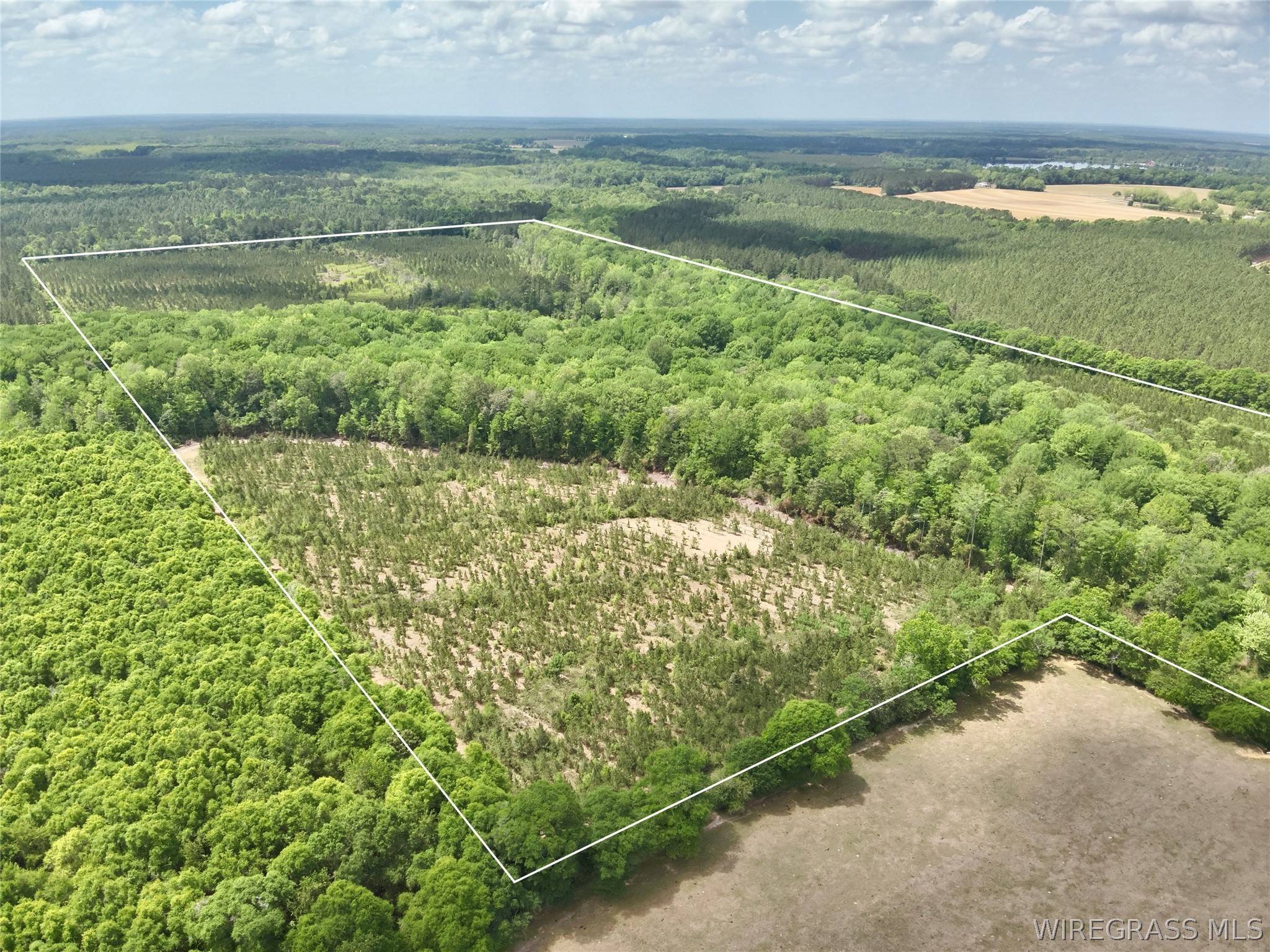105 Acres County Road 16 .