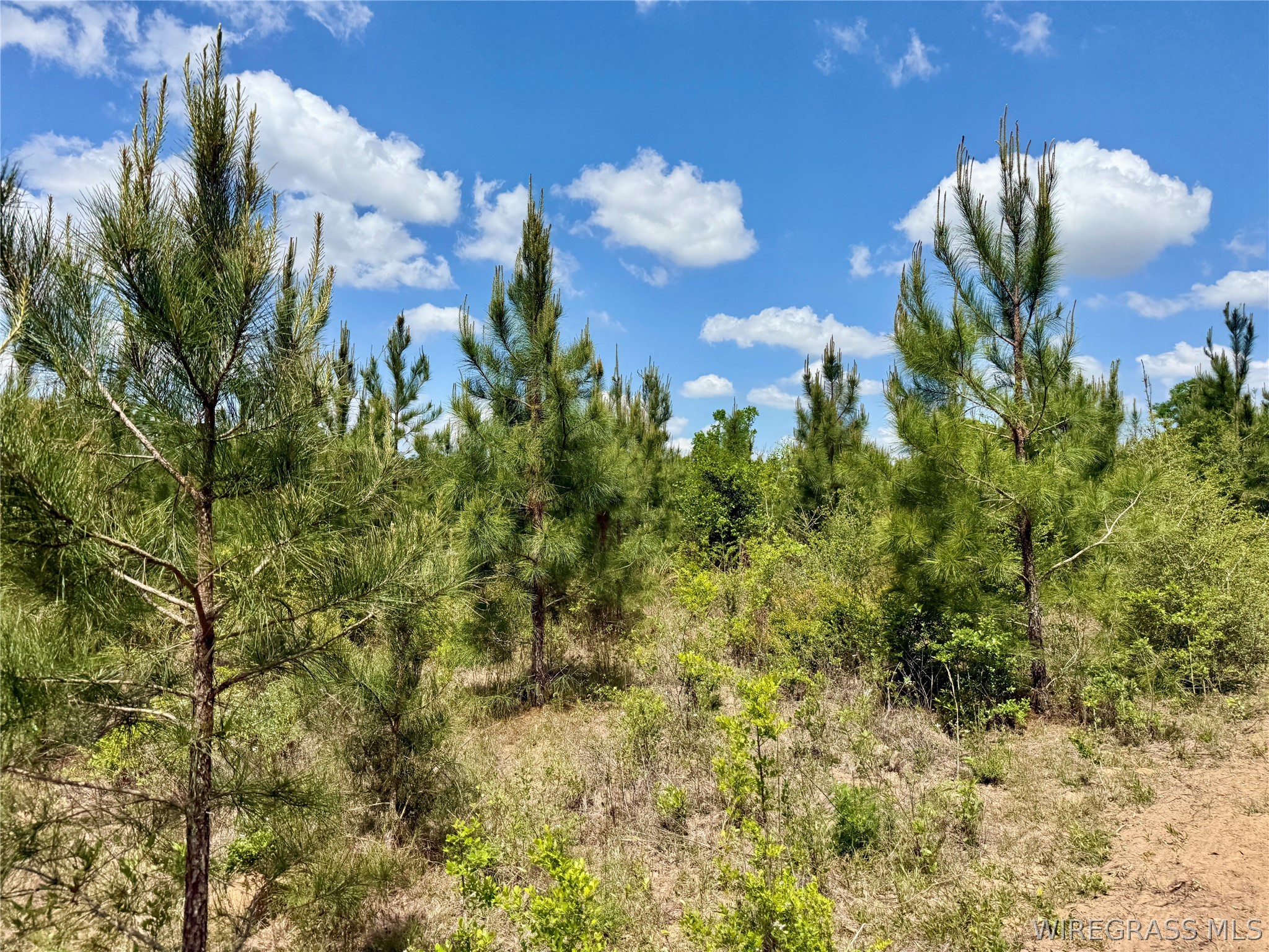 105 Acres County Road 16 .
