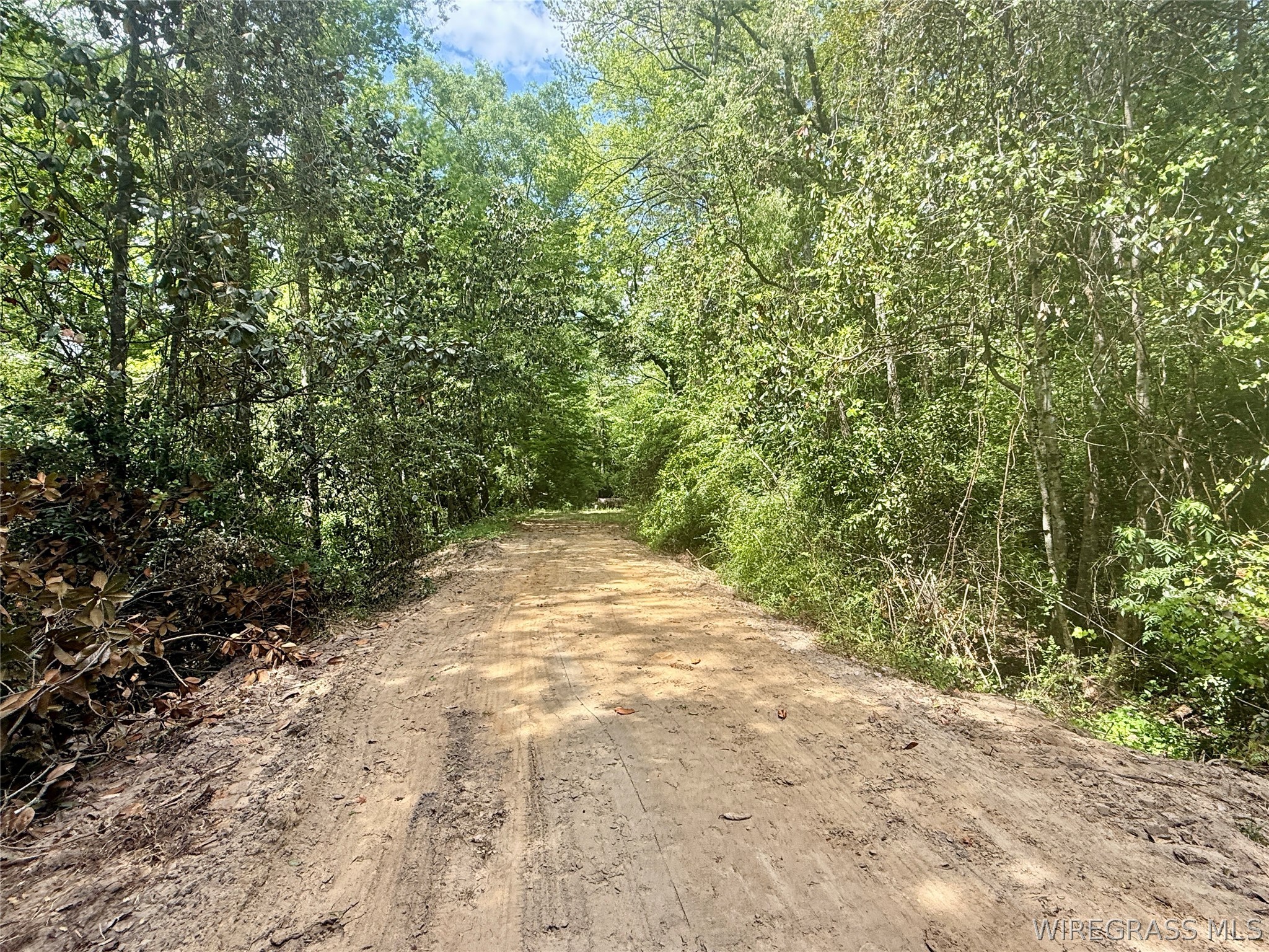 105 Acres County Road 16 .