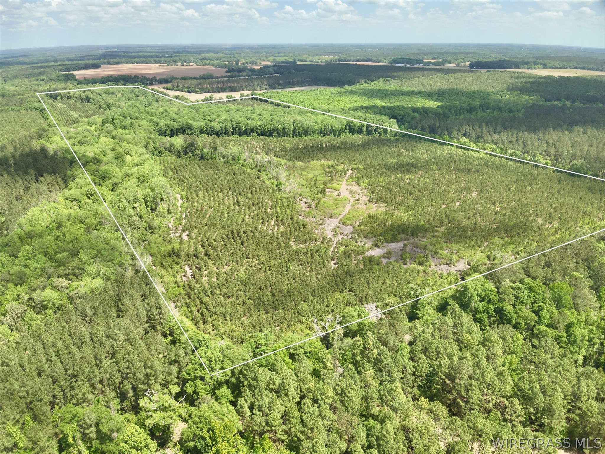 105 Acres County Road 16 .