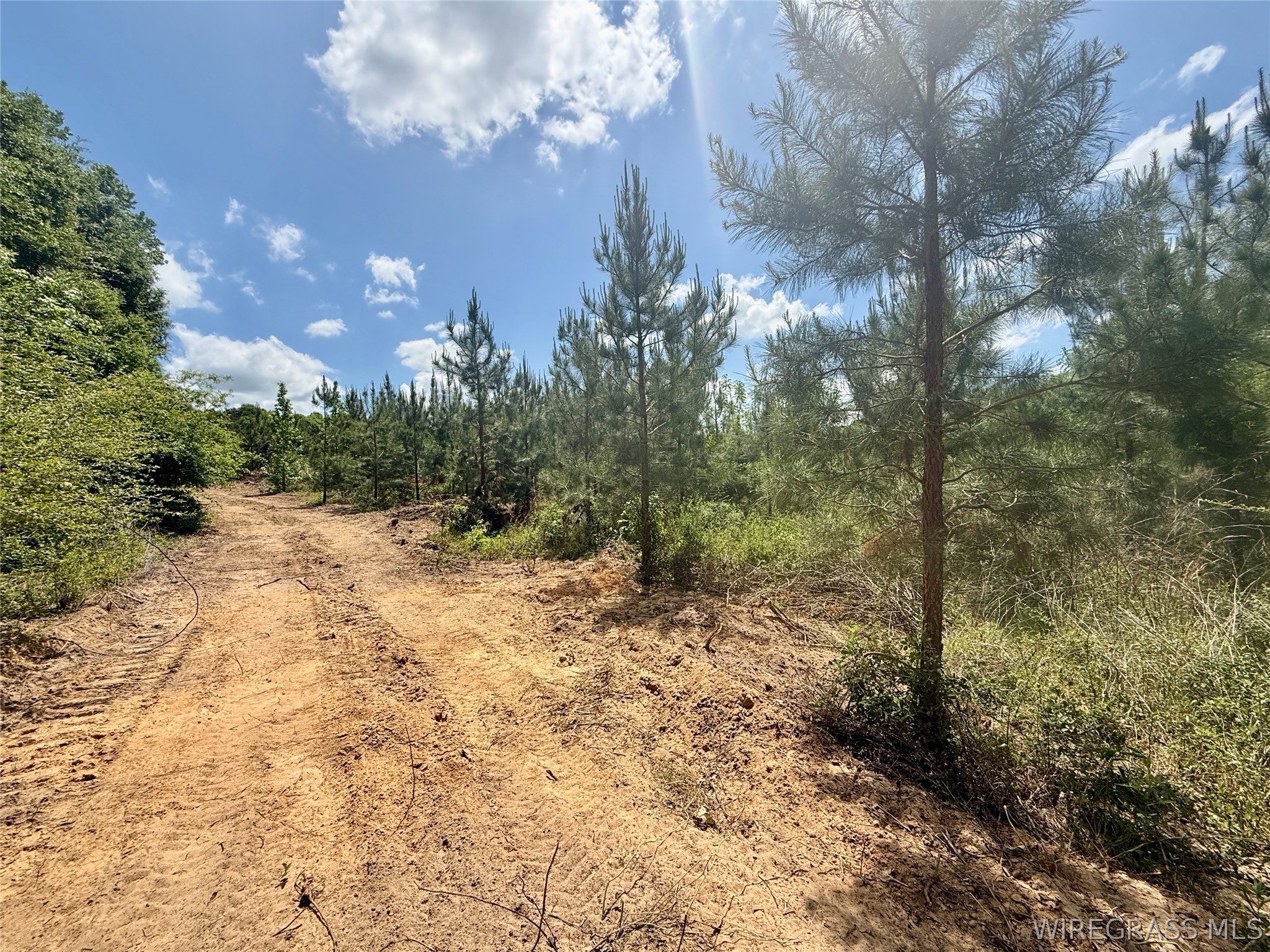 105 Acres County Road 16 .