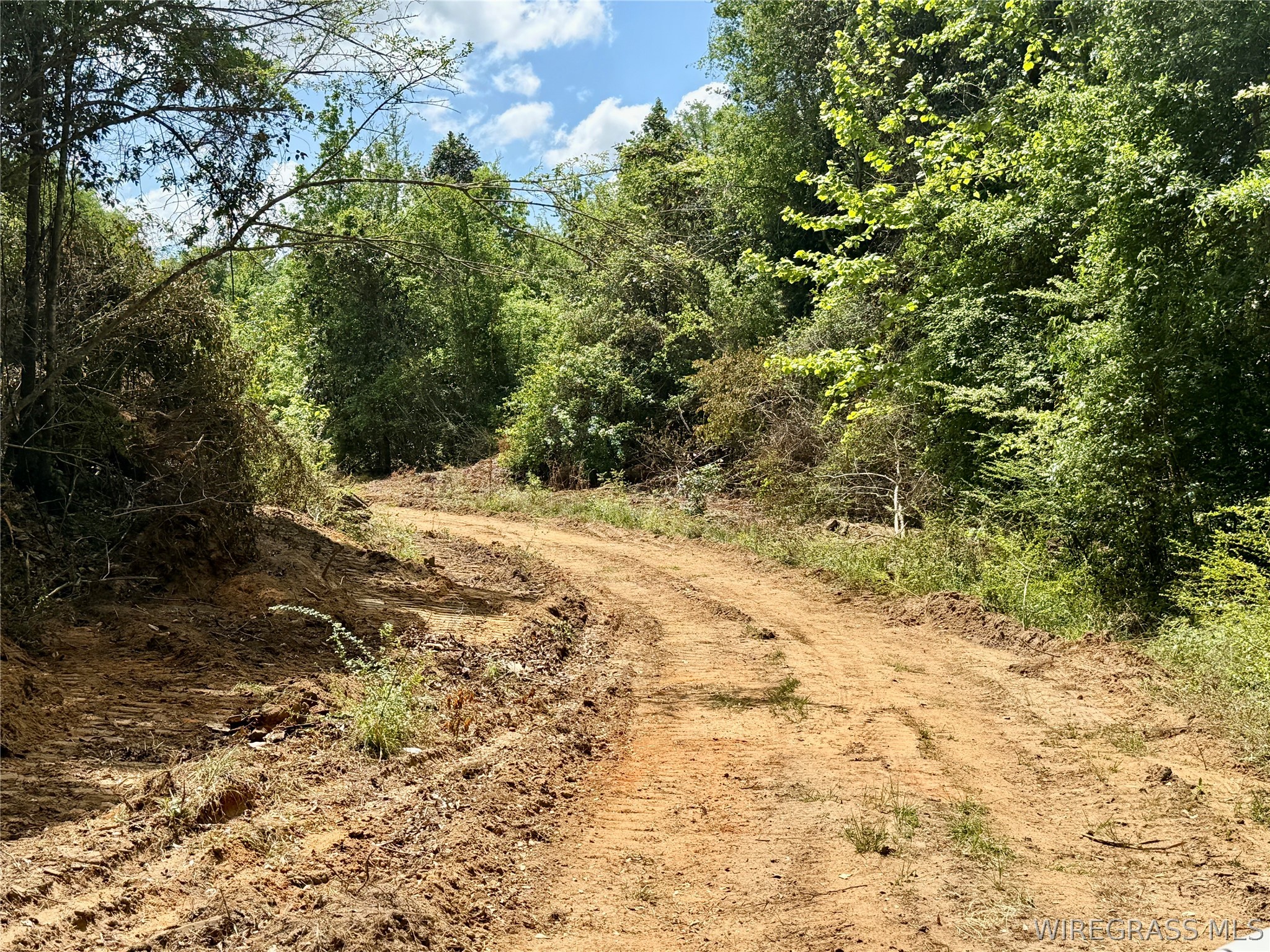 105 Acres County Road 16 .
