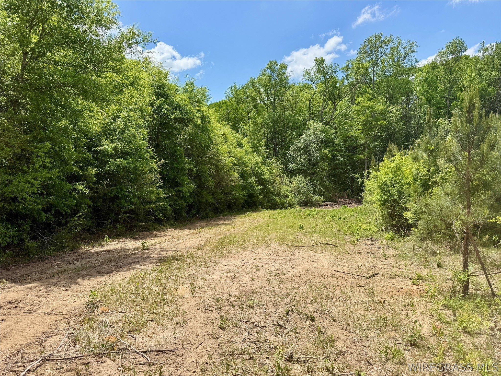 105 Acres County Road 16 .
