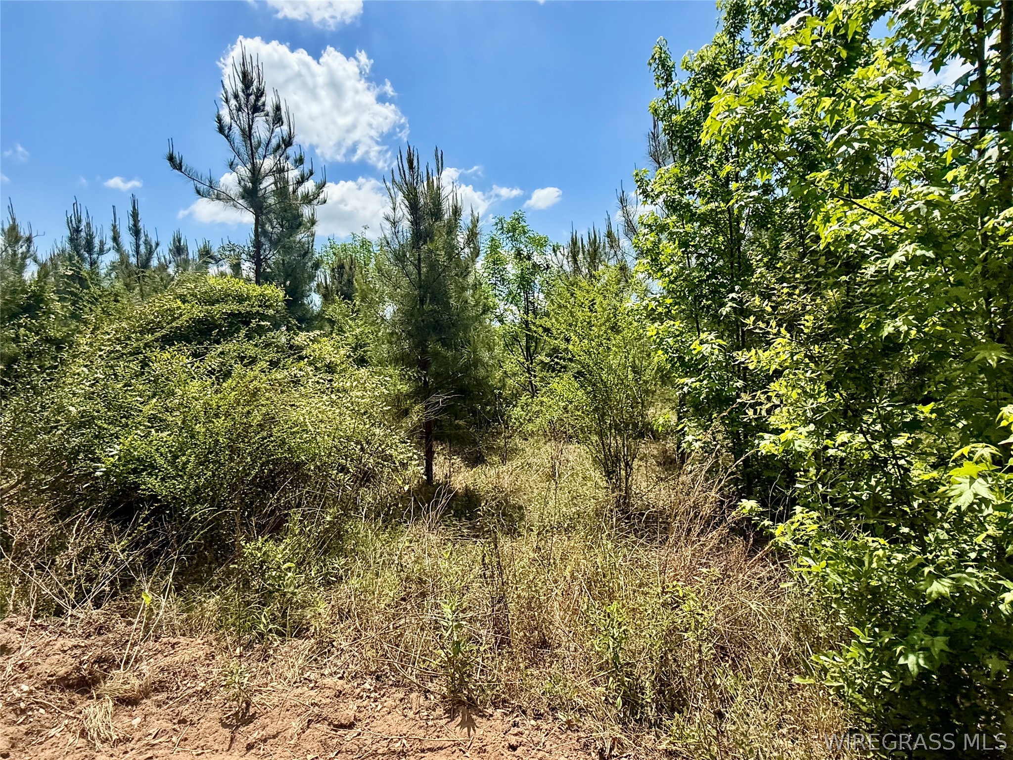 105 Acres County Road 16 .