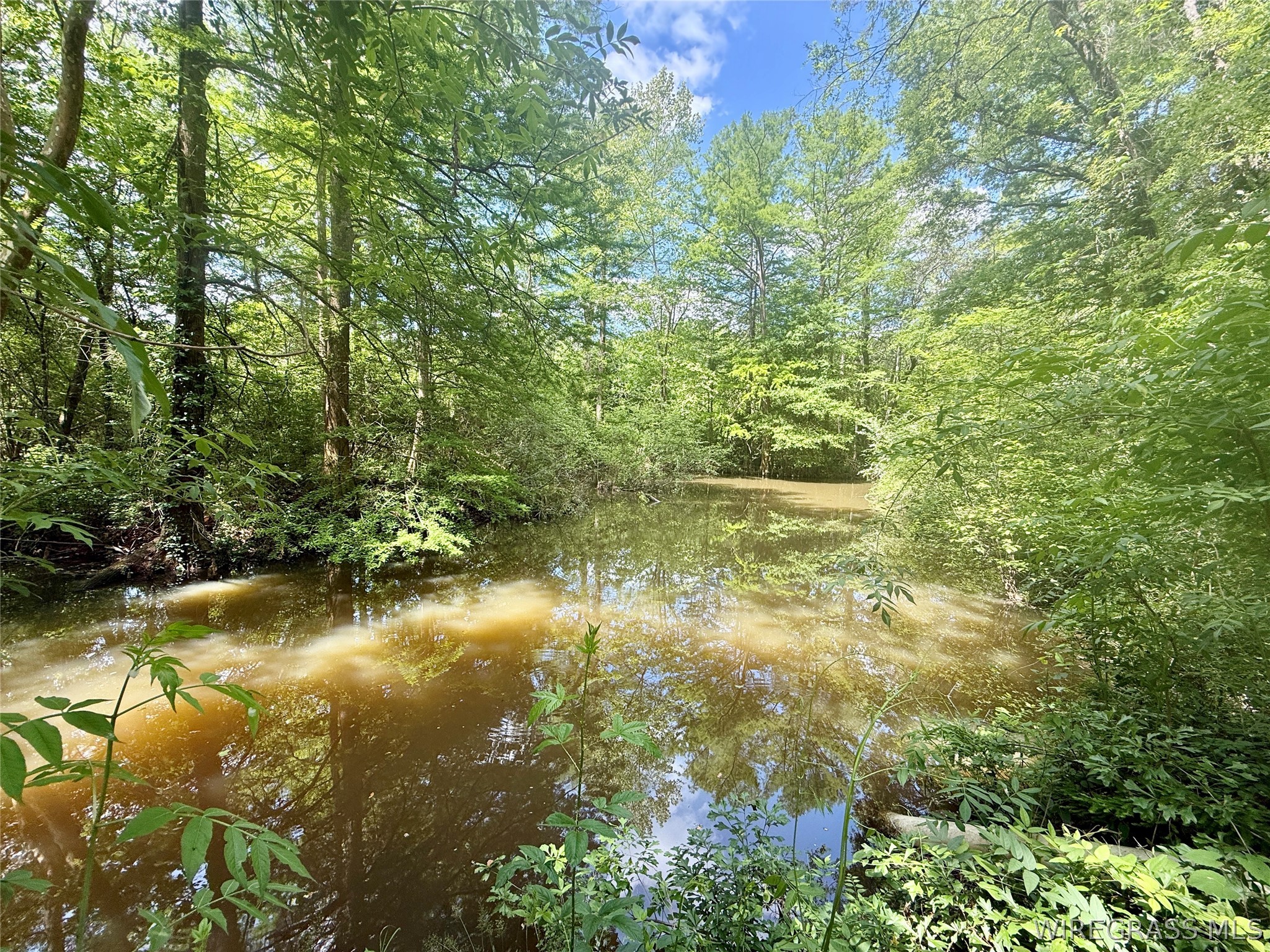 105 Acres County Road 16 .