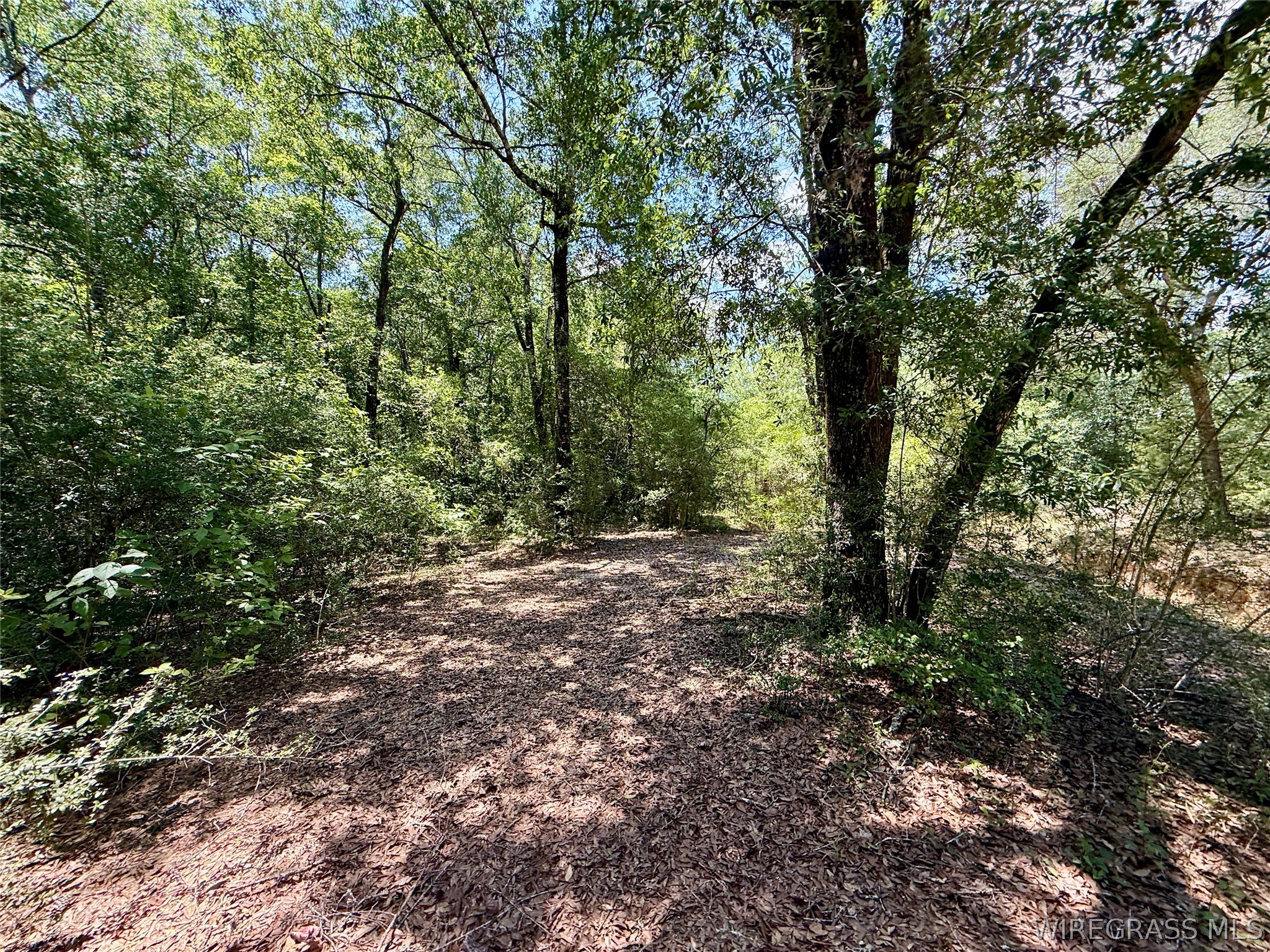 00 Grove Road