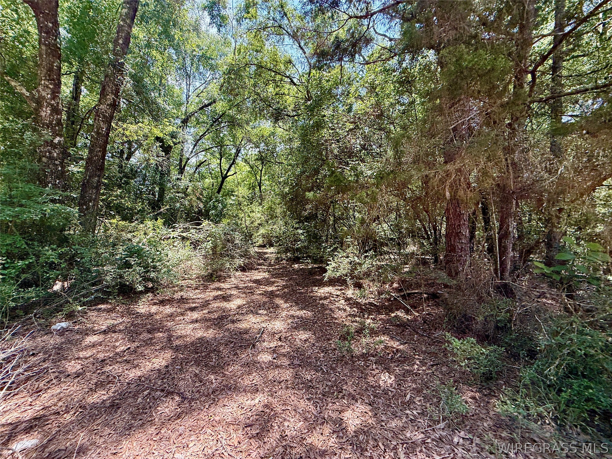 00 Grove Road