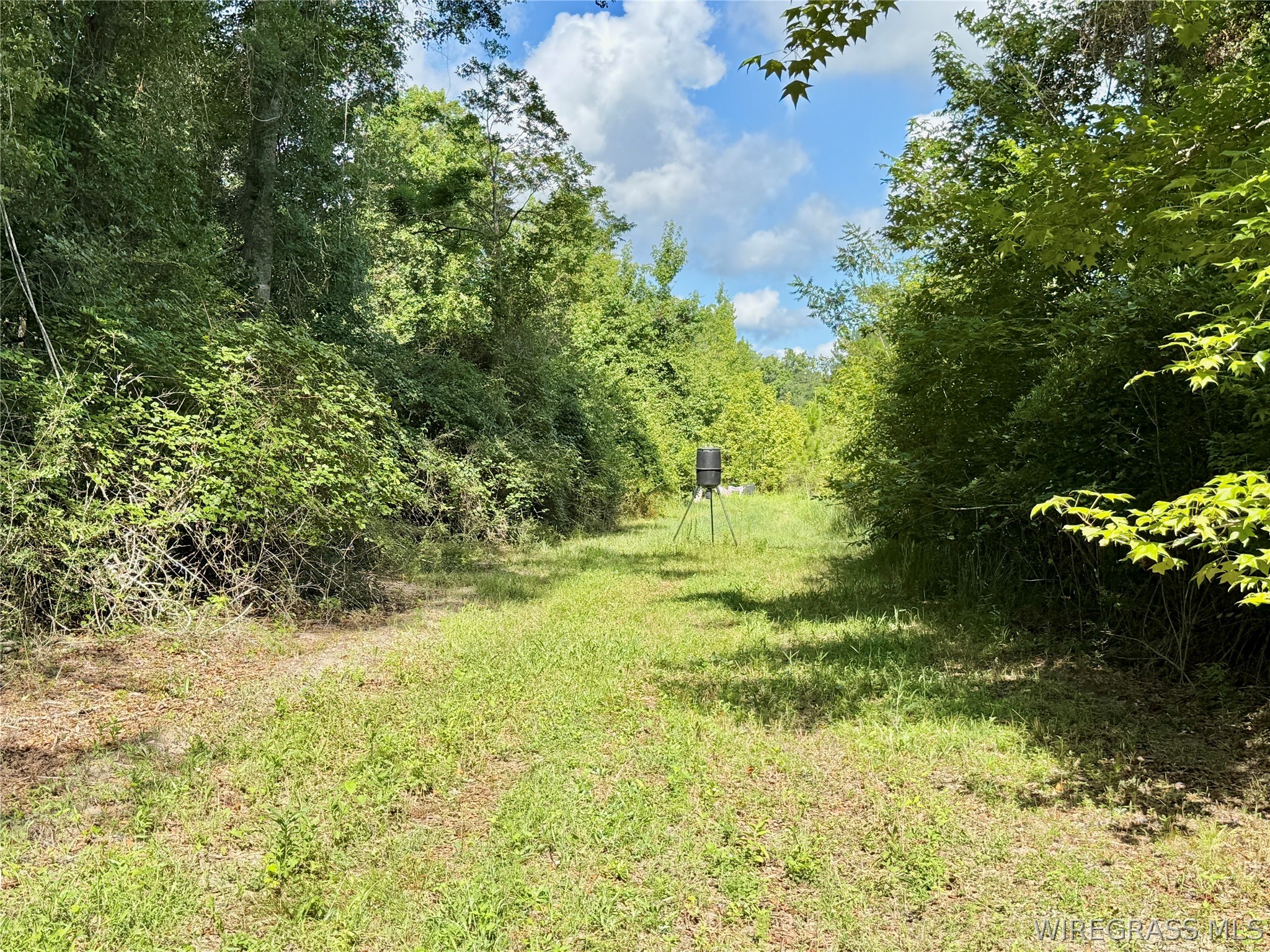 2543 S County Road 65 .