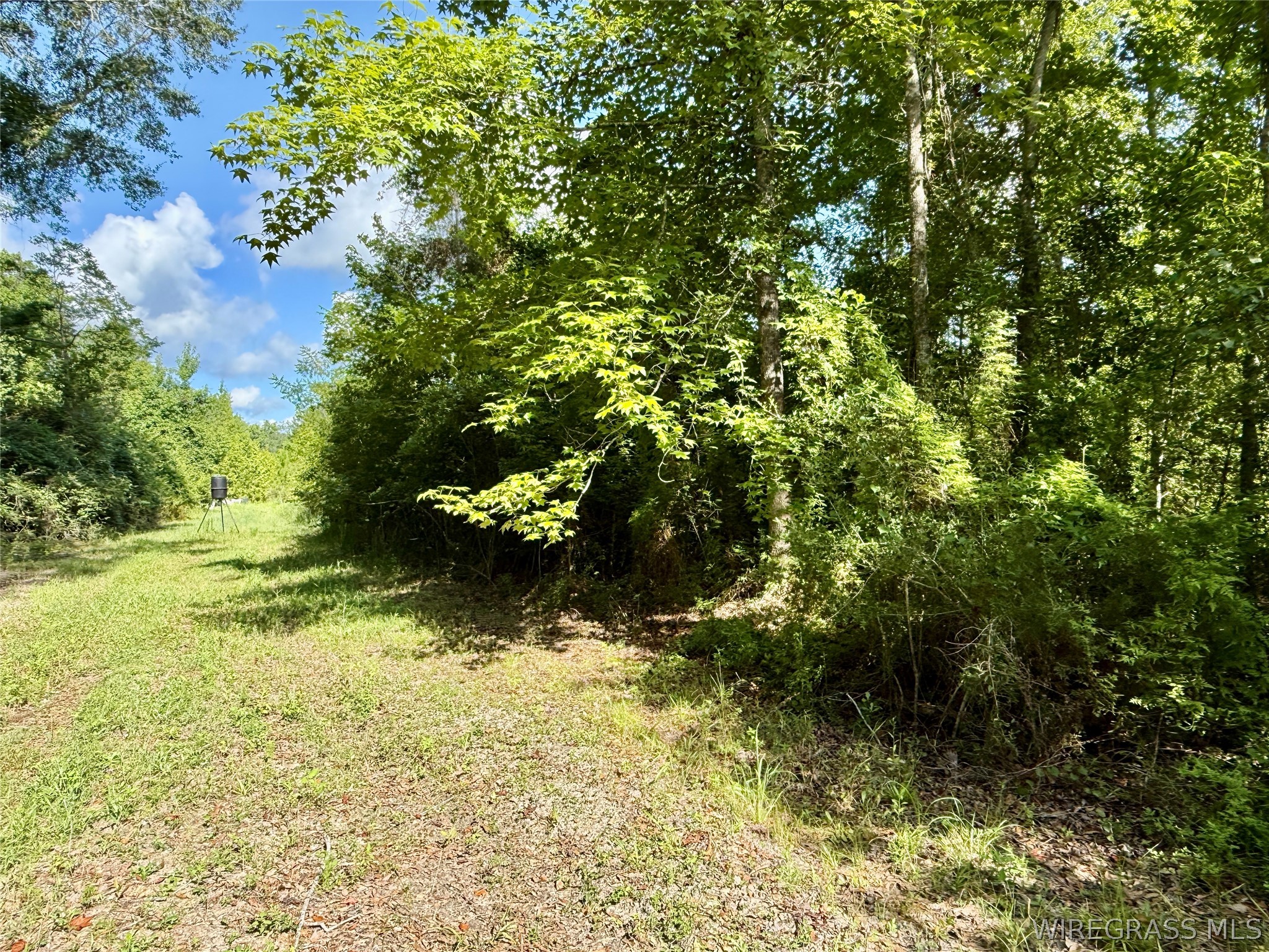 2543 S County Road 65 .