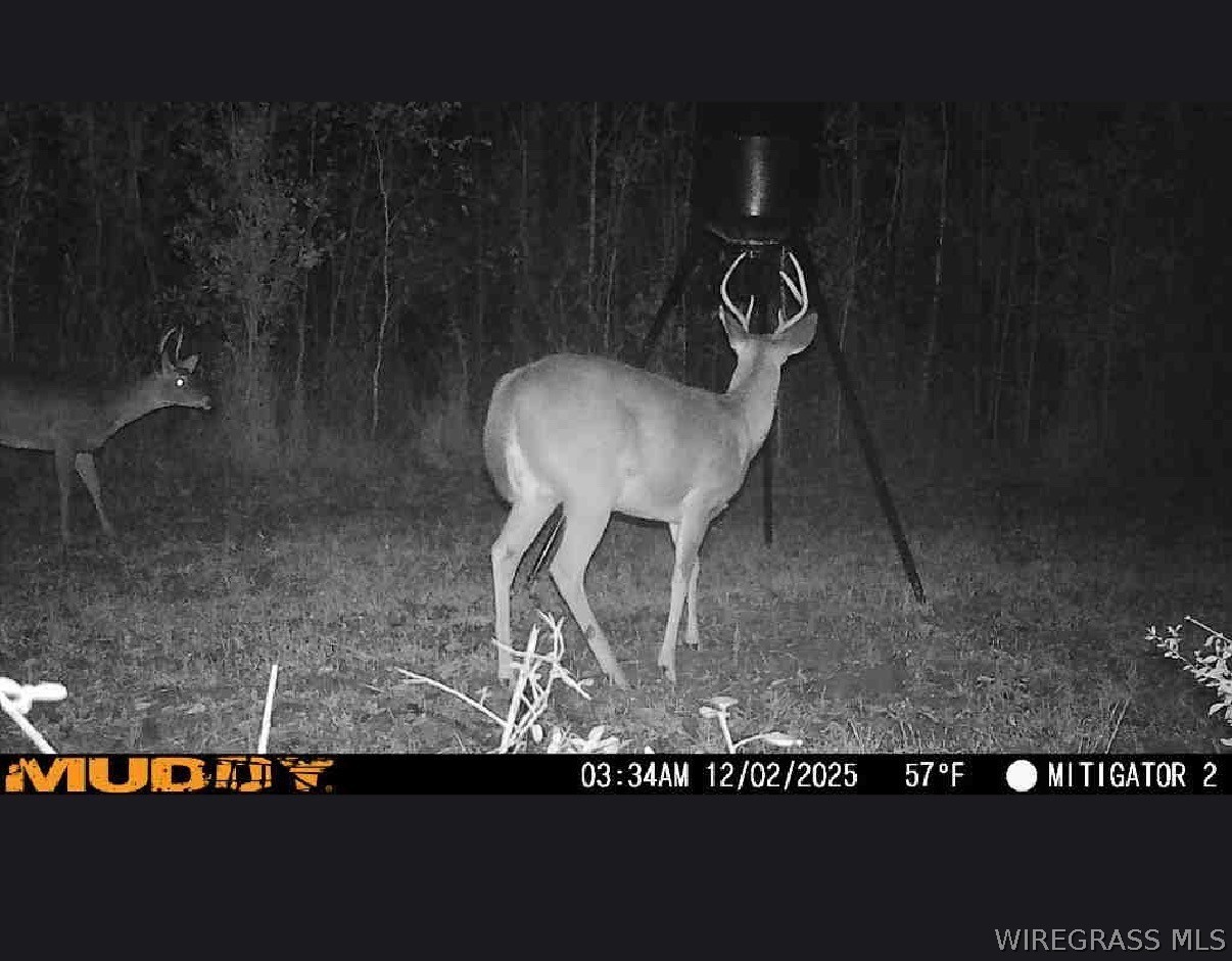 2543 S County Road 65 .