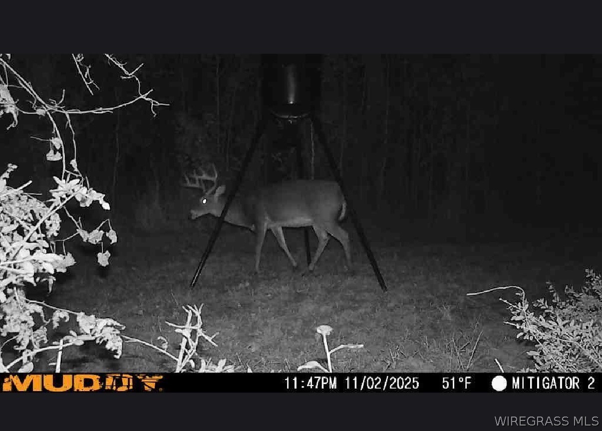 2543 S County Road 65 .